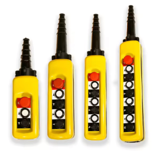 Remote For Hoist